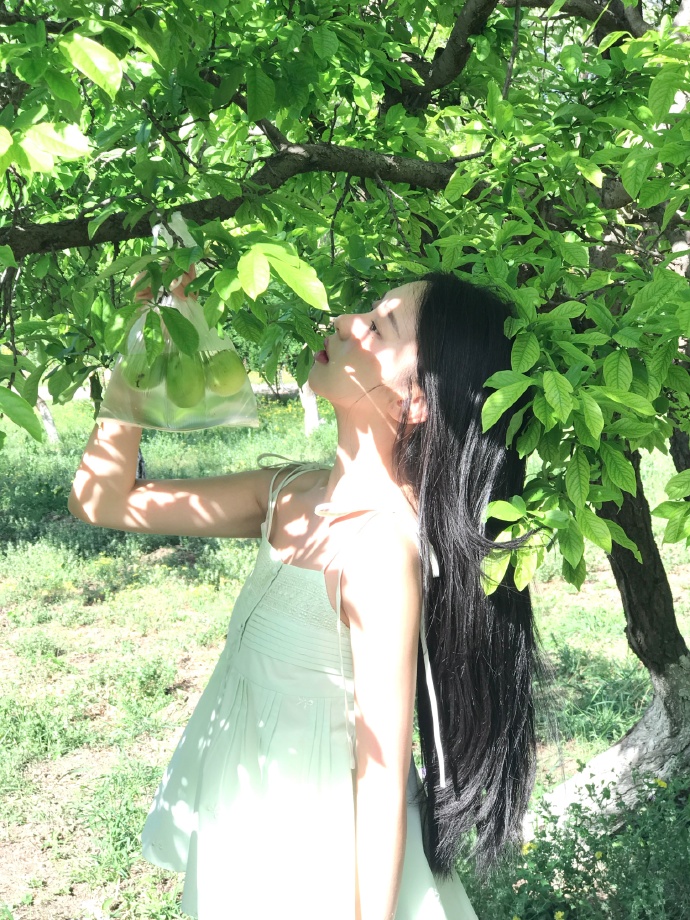消失的爱人 封面