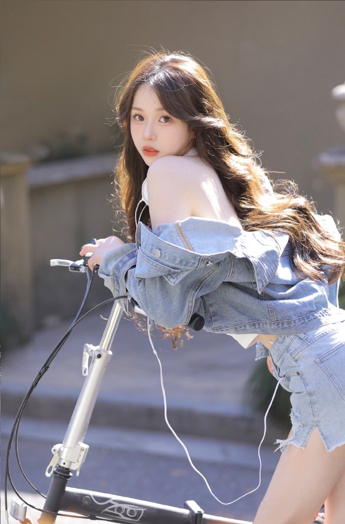 甄嬛传 封面