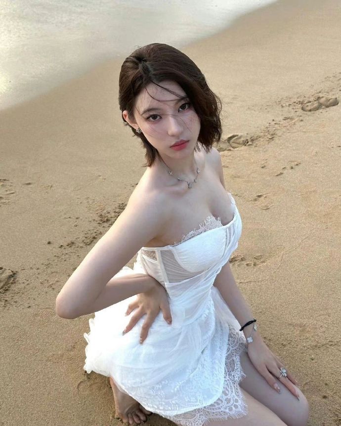 芬妮与亚历山大 封面