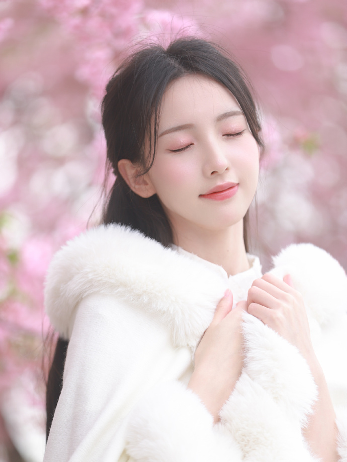 李茶的姑妈 封面