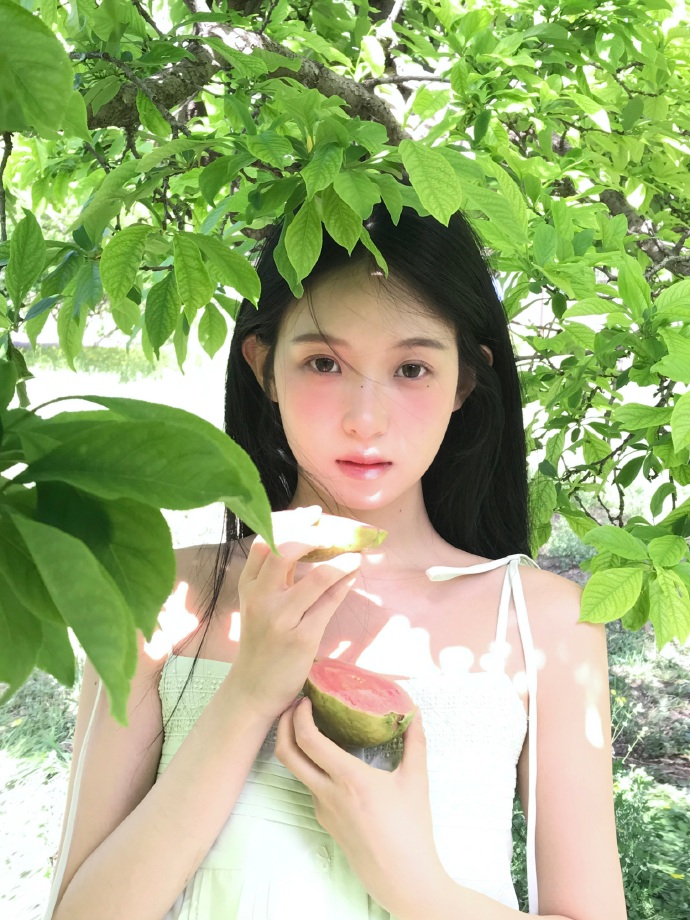 四个春天 封面