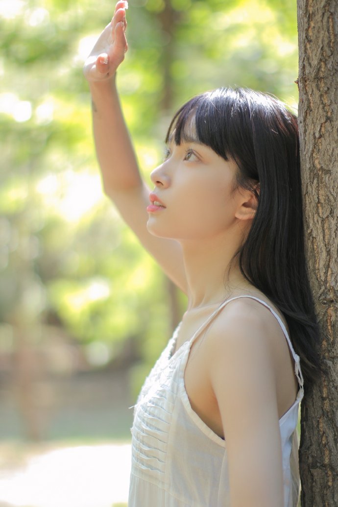 香蜜沉沉烬如霜 封面
